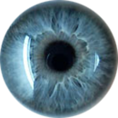 Real Eye Transparent PNG Image