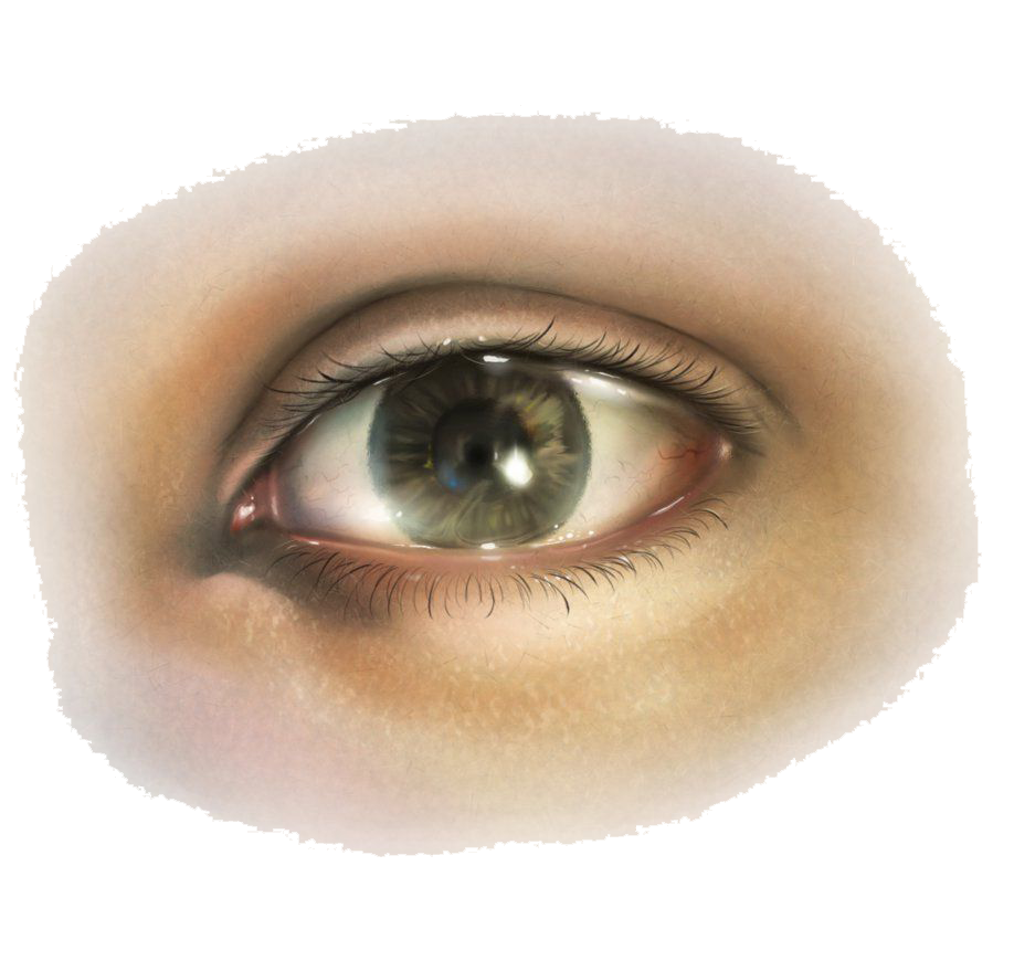 Human Eye Transparent PNG Image