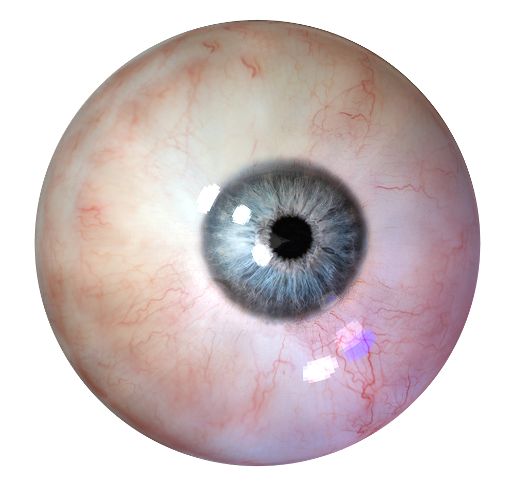 Human Eye Clipart Transparent PNG Image