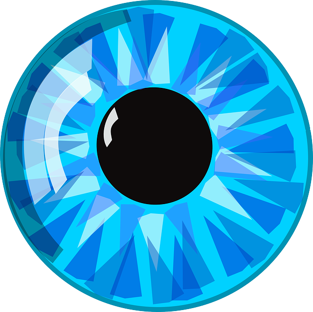 Blue Picture Eyes Download Free Image Transparent PNG Image