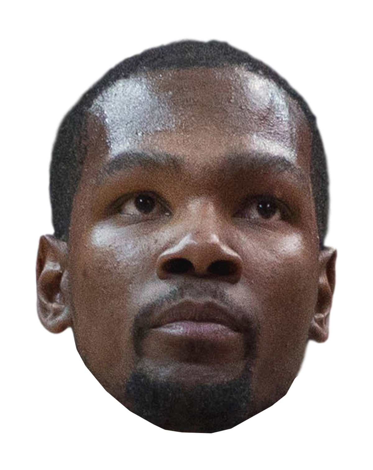 Golden Durant City Warriors Oklahoma Head Snout Transparent PNG Image