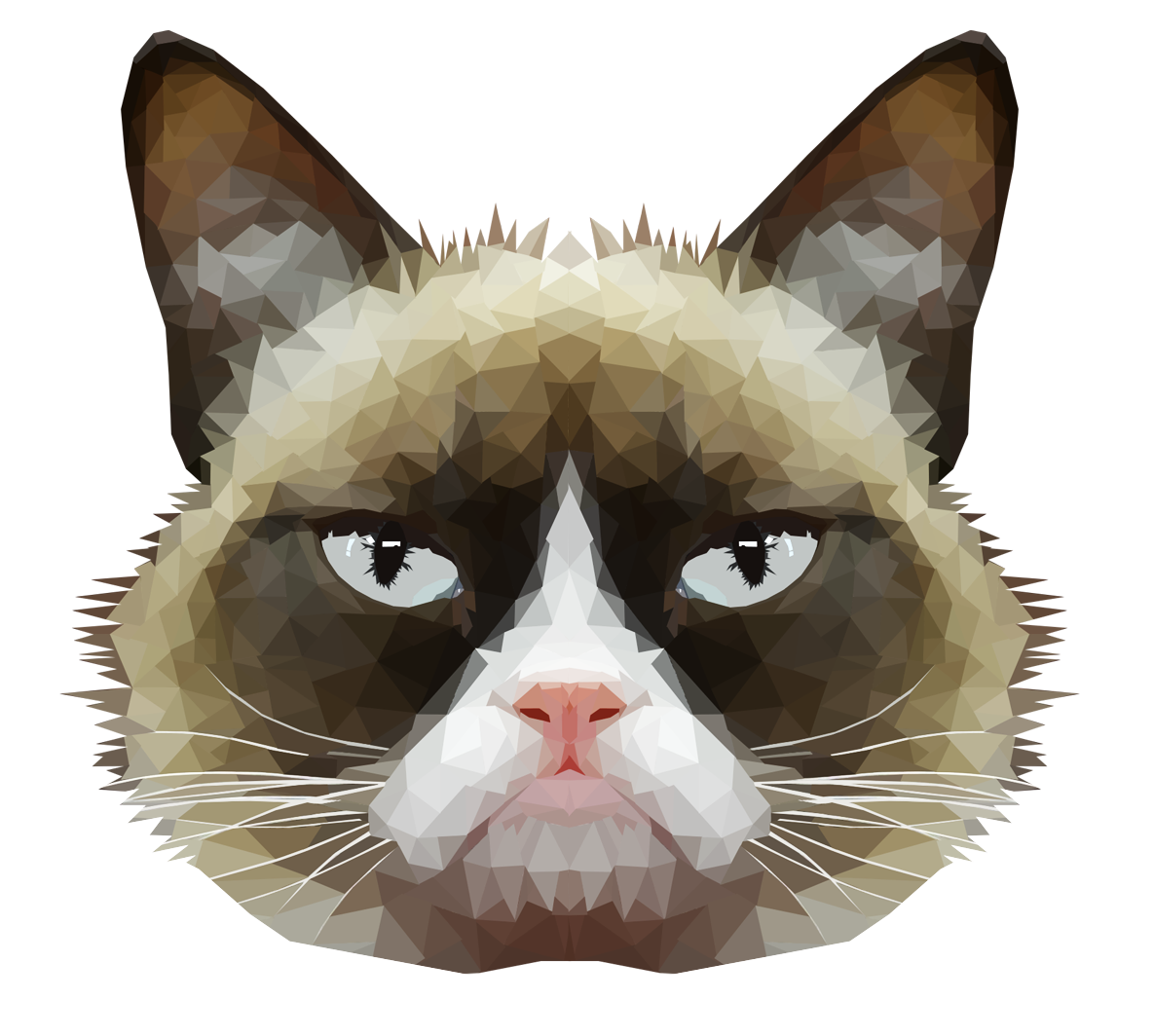 Grumpy Face Cat Free PNG HQ Transparent PNG Image