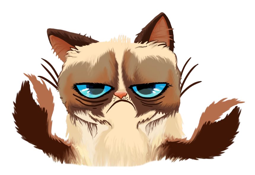 Grumpy Face Cat Download HD Transparent PNG Image