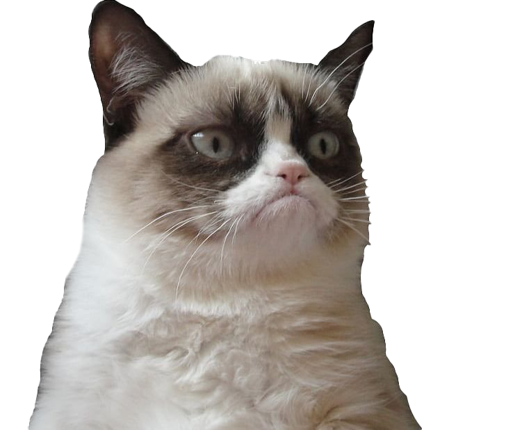 Picture Grumpy Face Cat Free Download PNG HD Transparent PNG Image