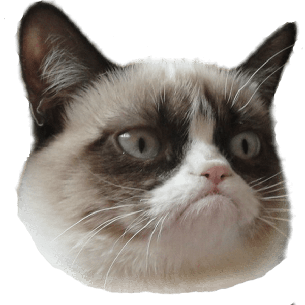 Grumpy Face Cat Free Clipart HD Transparent PNG Image