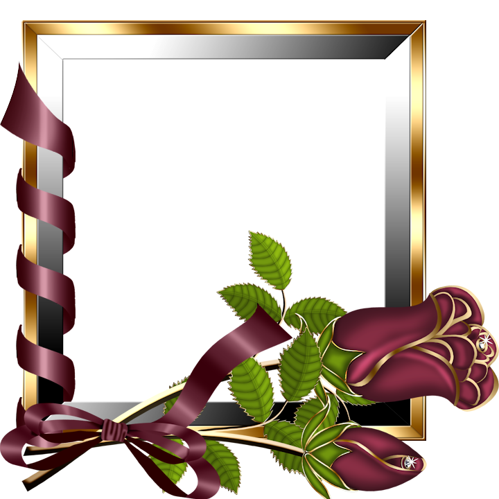 Picture Frame Online Frames Venusia Editing Transparent PNG Image