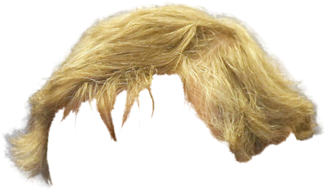 Hair Photos Hairstyle Blonde HQ Image Free Transparent PNG Image