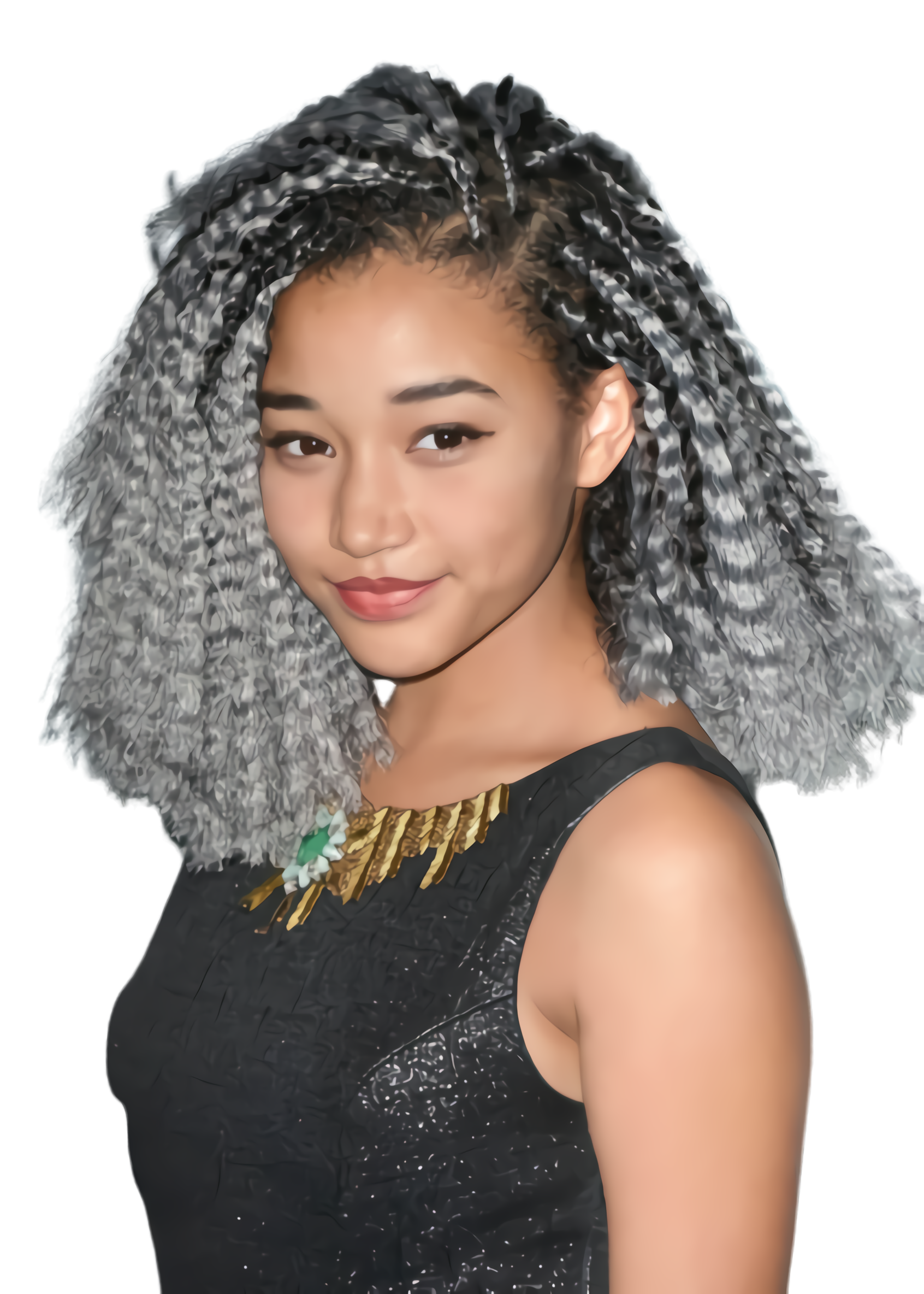 Hairstyle Braids Free HQ Image Transparent PNG Image