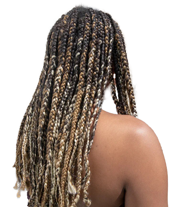 Hairstyle Braids Free Download PNG HQ Transparent PNG Image