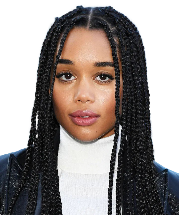 Picture Hairstyle Braids PNG Download Free Transparent PNG Image