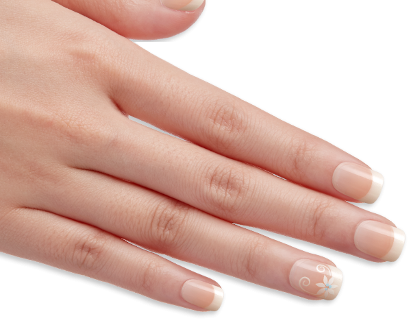 Nail Picture Download HD Transparent PNG Image