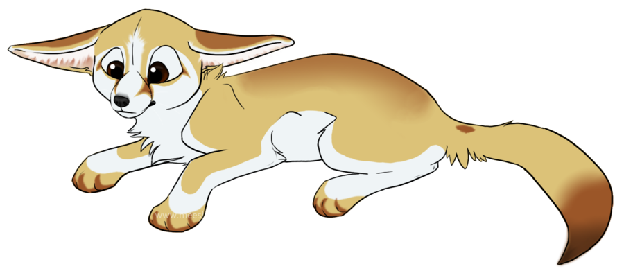 Fennec Fox Picture Transparent PNG Image