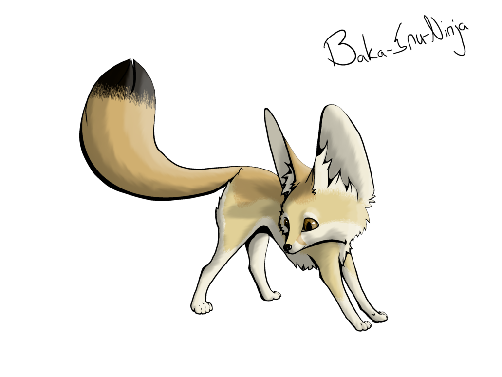 Fennec Fox Transparent Transparent PNG Image