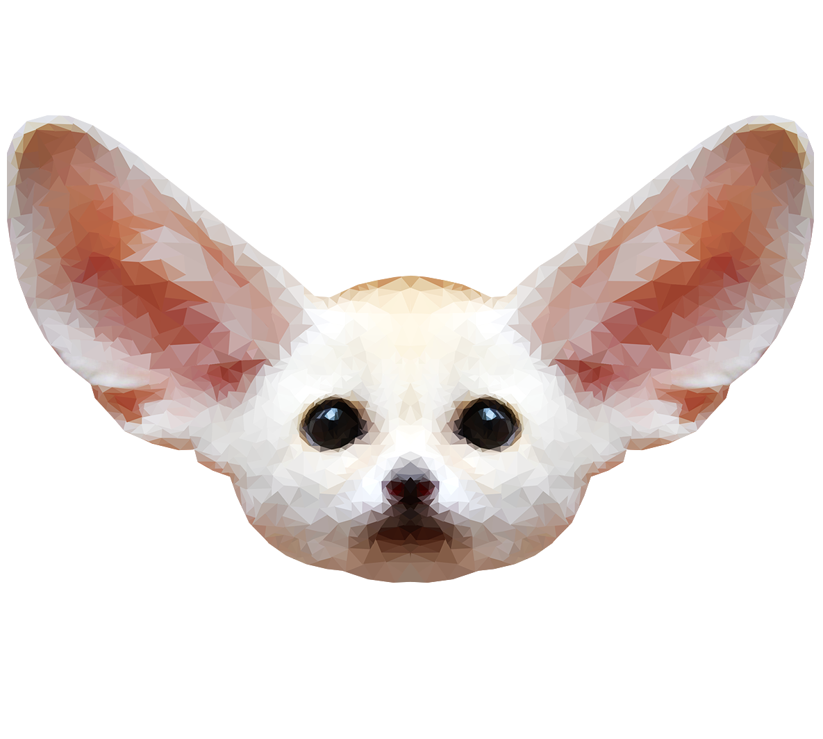 Fennec Fox Free Download Transparent PNG Image