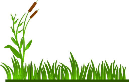 Field Grass Agriculture Free Download PNG HD Transparent PNG Image