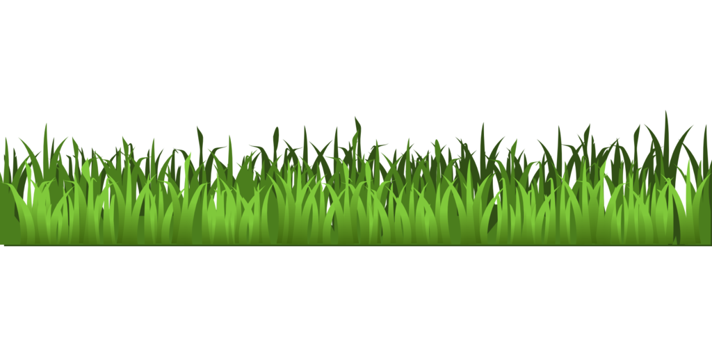 Field Grass Agriculture Free HD Image Transparent PNG Image