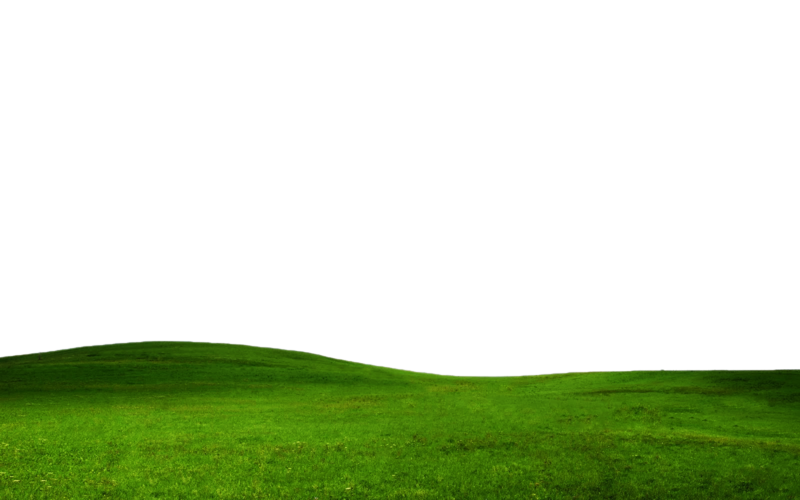 Countryside Field Green Photos Free Transparent Image HQ Transparent PNG Image