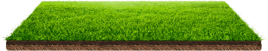 Field Green HQ Image Free Transparent PNG Image