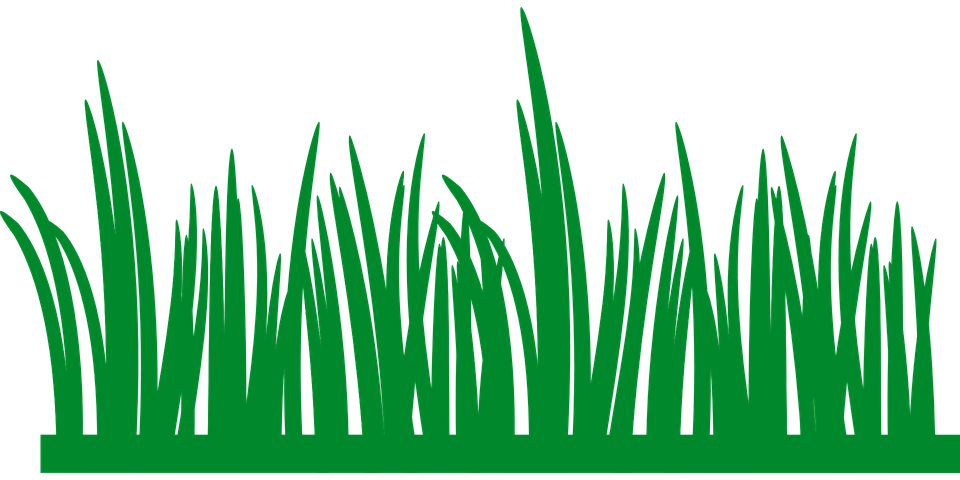 Field Green PNG Free Photo Transparent PNG Image