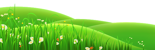 Field Grass Landscape PNG Download Free Transparent PNG Image