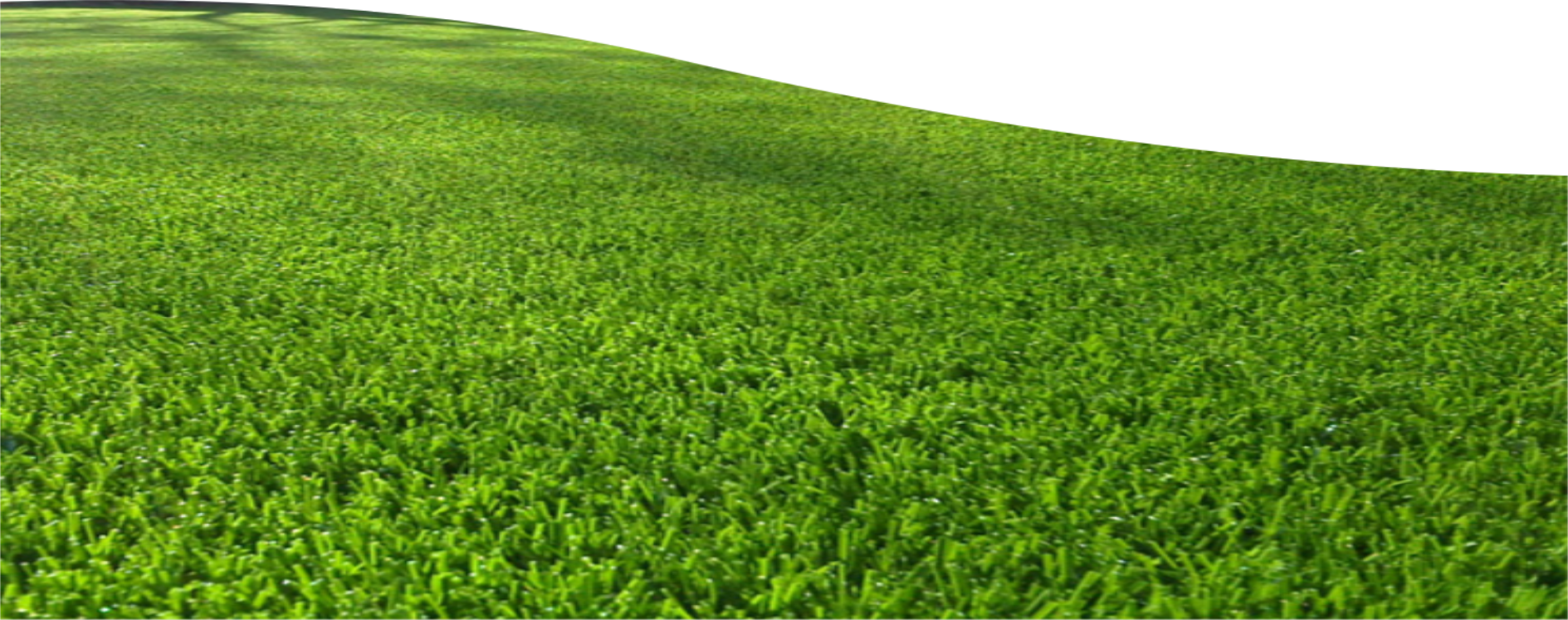 Field Grass Landscape PNG Image High Quality Transparent PNG Image