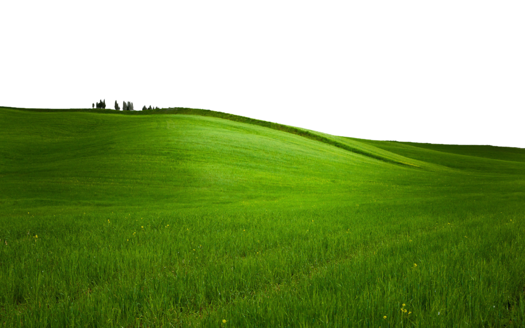 Field Green Landscape PNG Download Free Transparent PNG Image