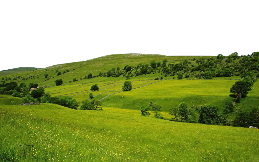 Field Green Landscape Free Clipart HQ Transparent PNG Image