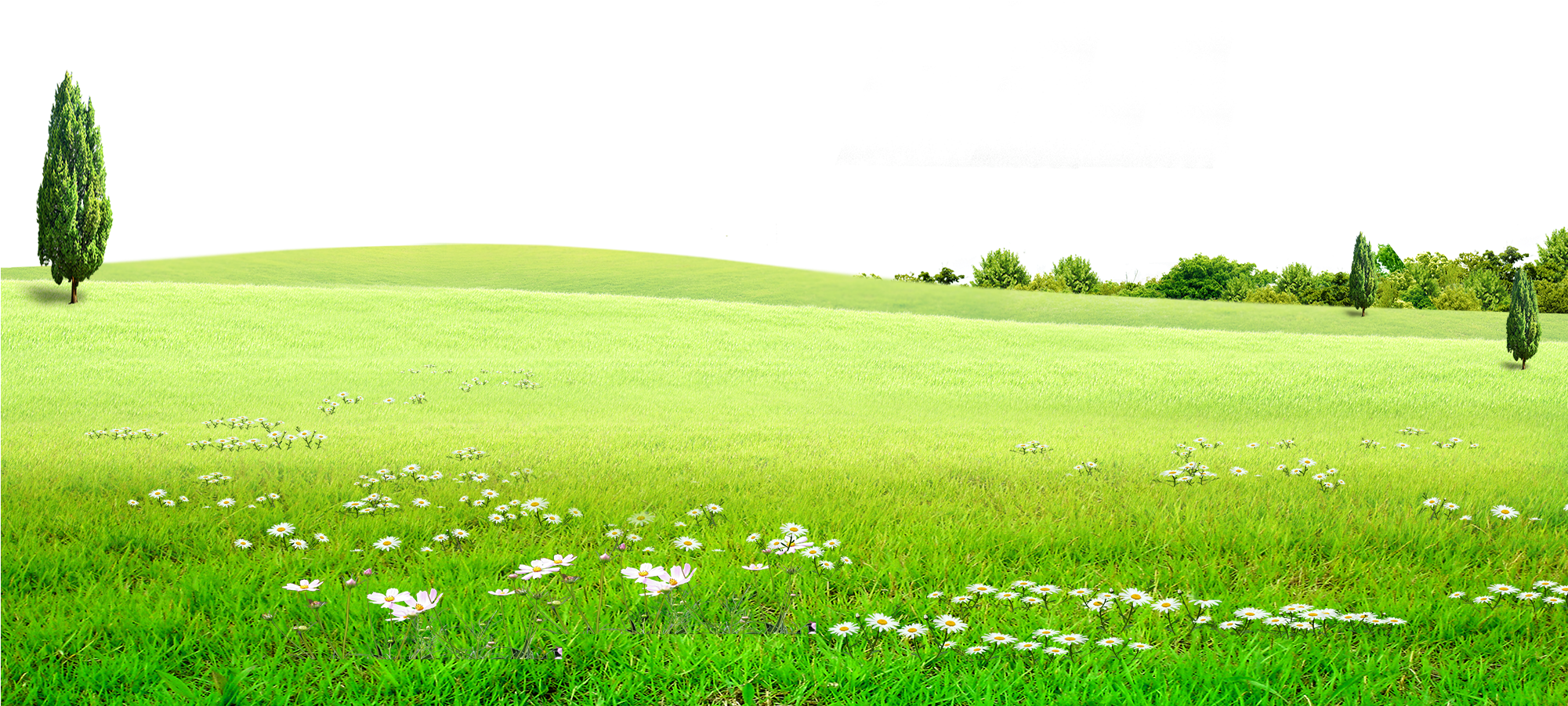 Field Green Landscape HQ Image Free Transparent PNG Image