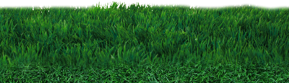 Field Grass Mat Download HQ Transparent PNG Image