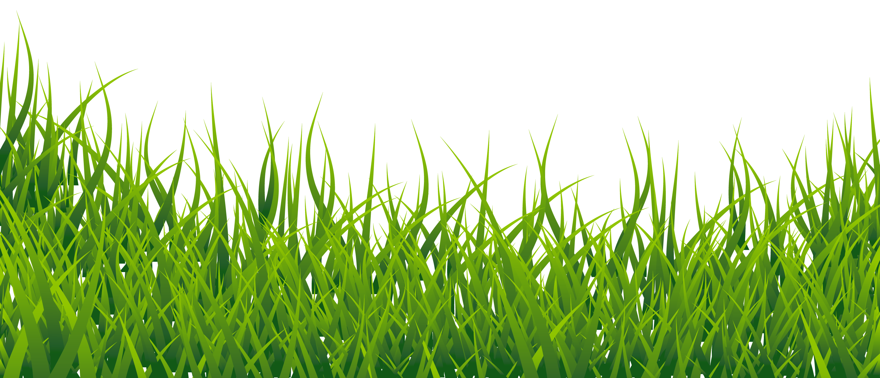 Summer Green Field Free Transparent Image HQ Transparent PNG Image