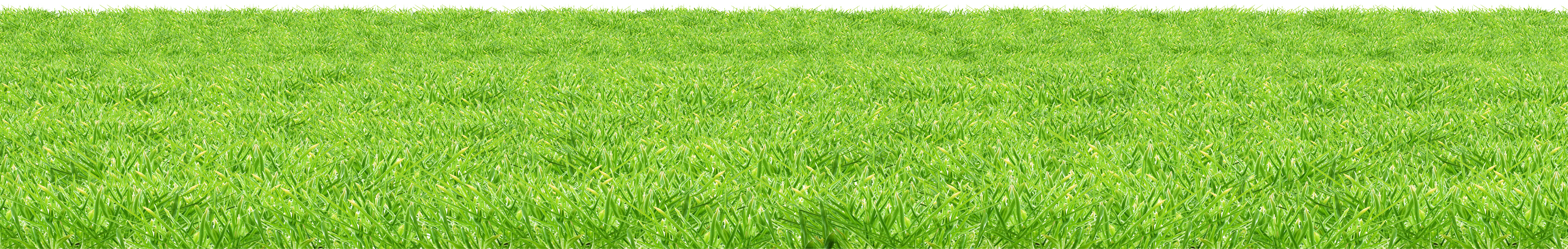 Summer Green Field Free Download PNG HD Transparent PNG Image