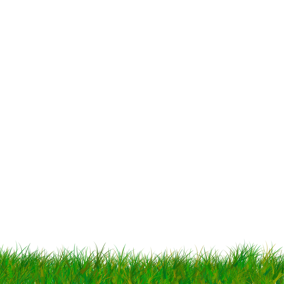 Field Grass Sunny Photos PNG Download Free Transparent PNG Image