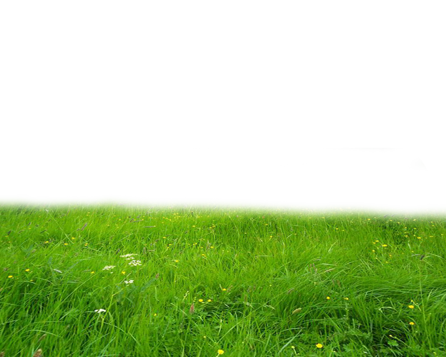 Field Hd Transparent PNG Image