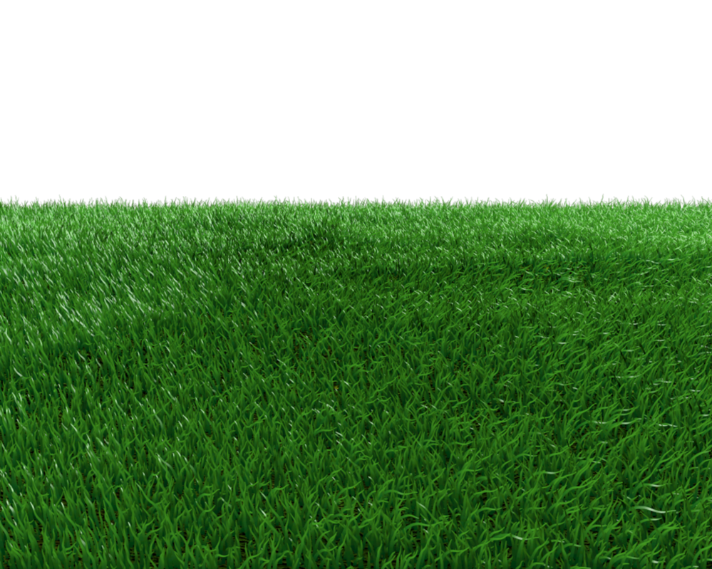 Field Transparent Background Transparent PNG Image