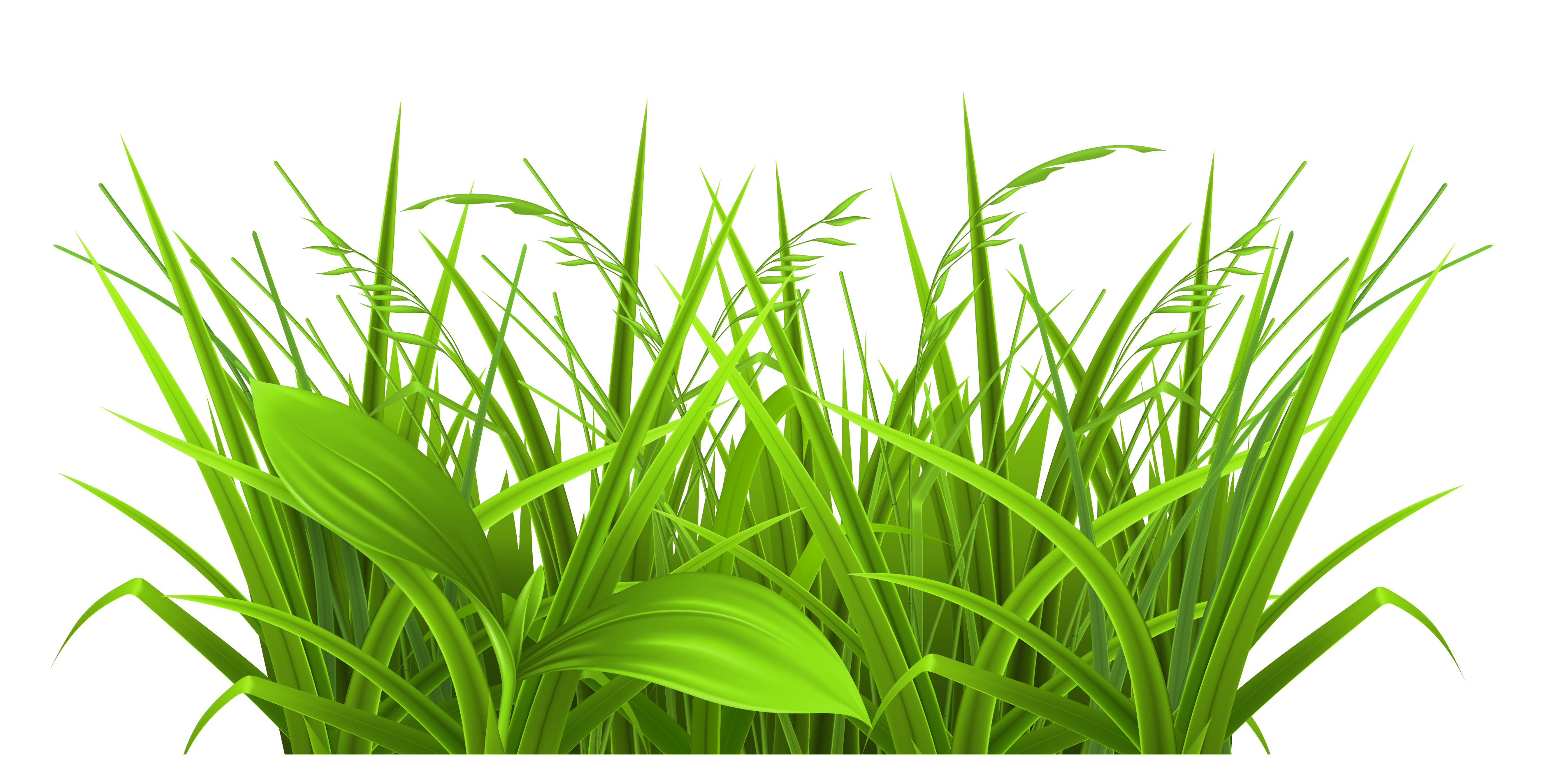 Field File Transparent PNG Image