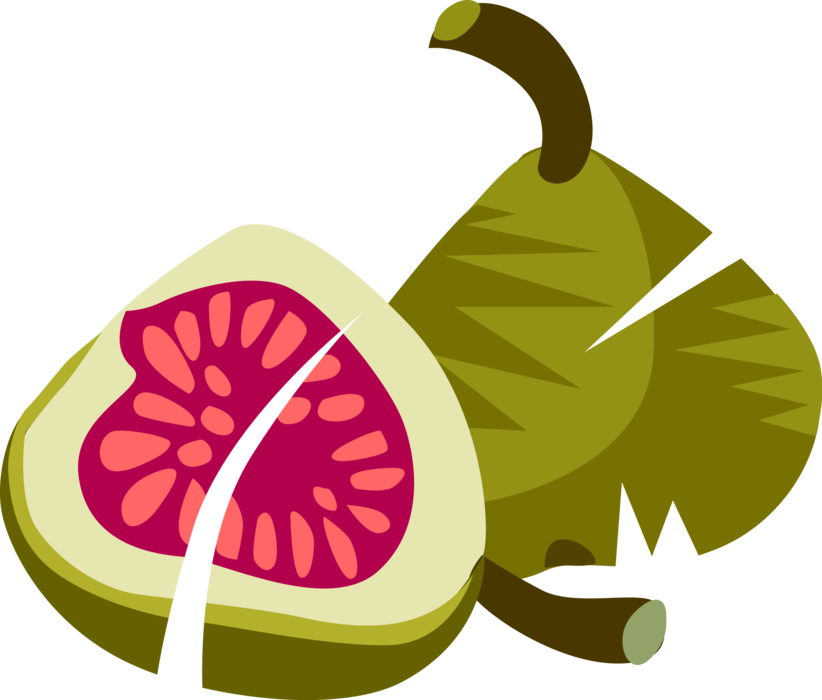 Green Fig Free Transparent Image HD Transparent PNG Image