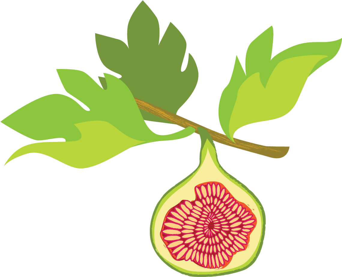 Leaves Fig PNG Image High Quality Transparent PNG Image