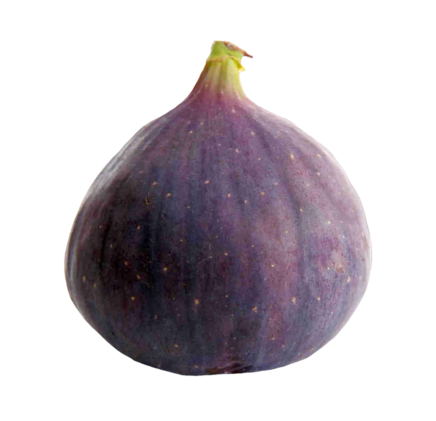 Fresh Fig PNG Free Photo Transparent PNG Image