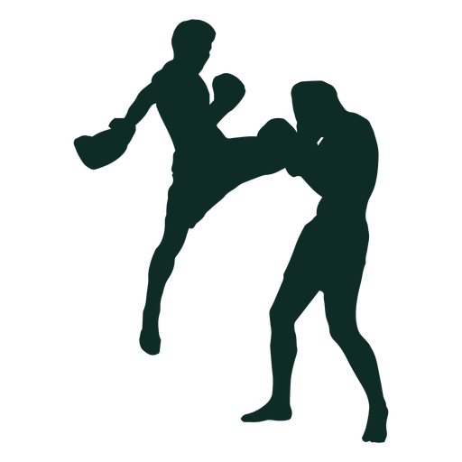 Taekwondo Silhouette Fighting HD Image Free Transparent PNG Image