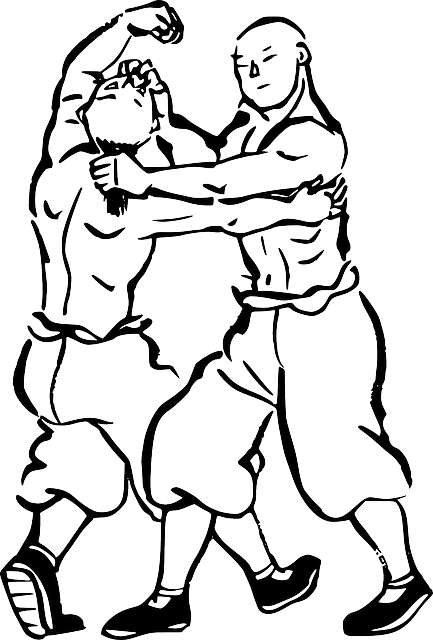 Fighting Photo Transparent PNG Image