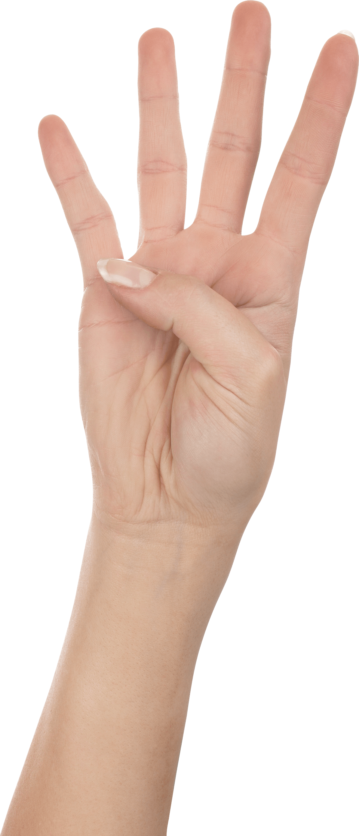 Four Fingers Png Image Transparent PNG Image