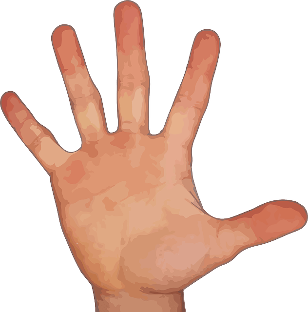 Five Fingers Png Image Transparent PNG Image