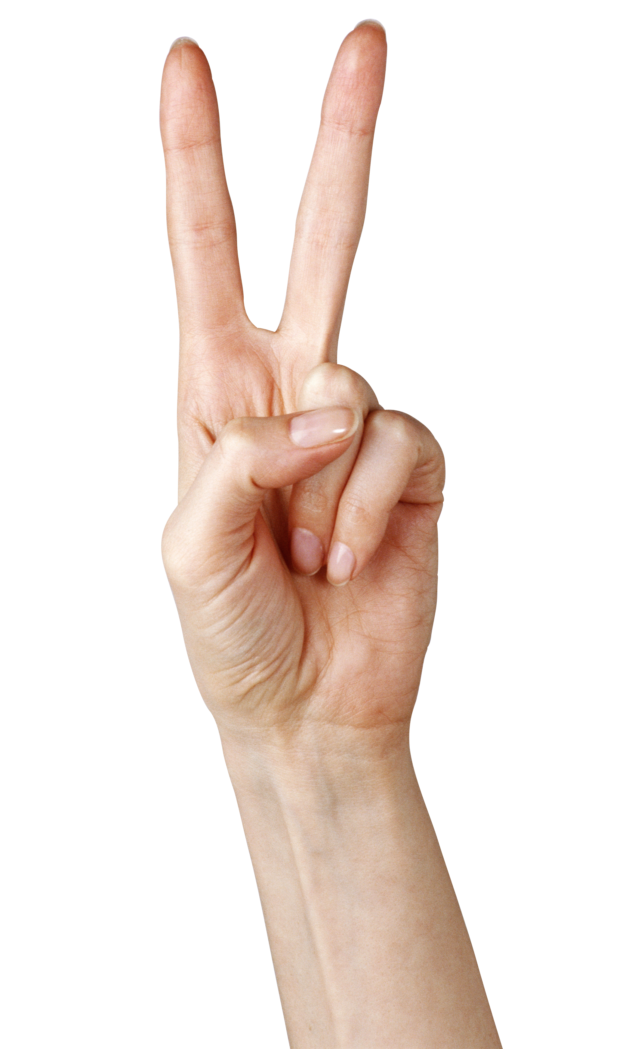 Fingers Png Clipart Transparent PNG Image