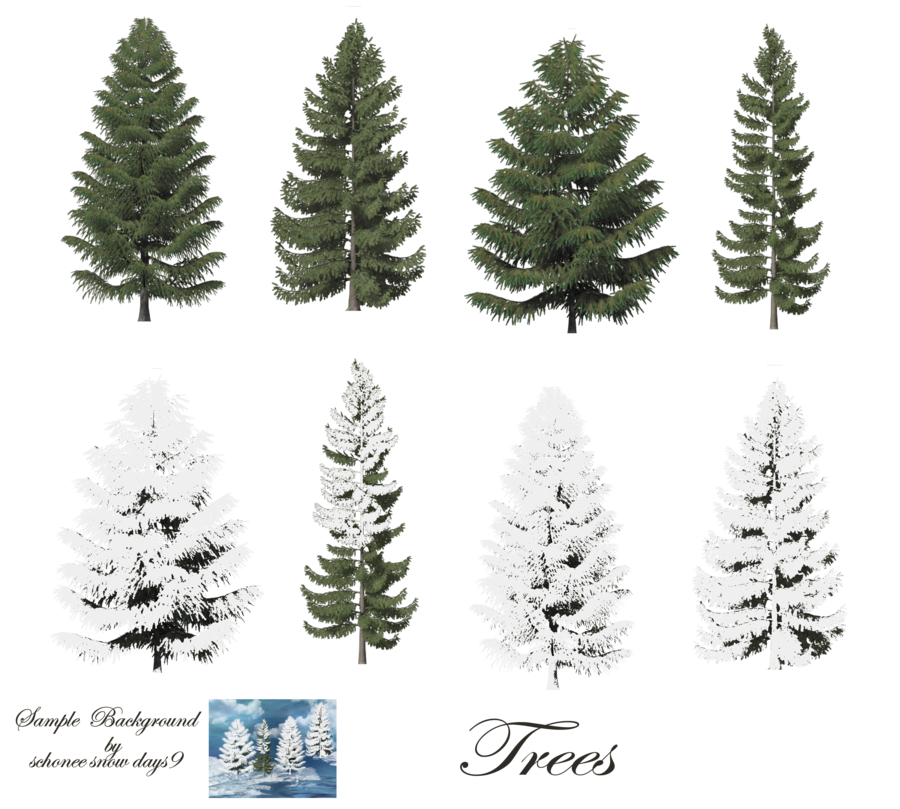 Fir-Tree Free Png Image Transparent PNG Image