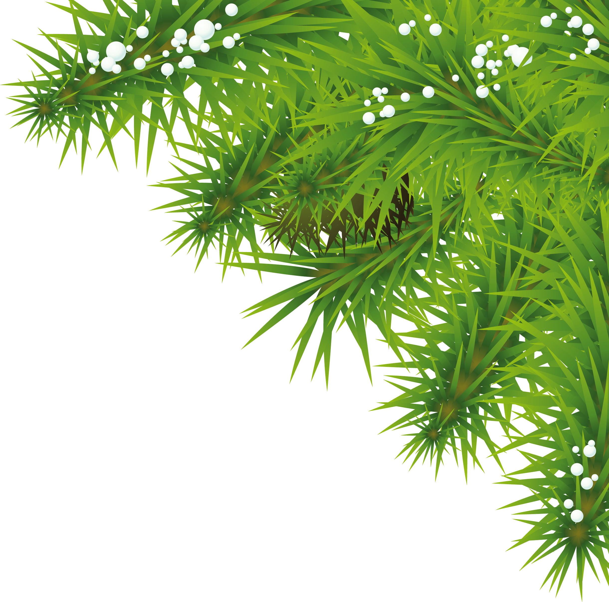 Fir-Tree Png Image Transparent PNG Image