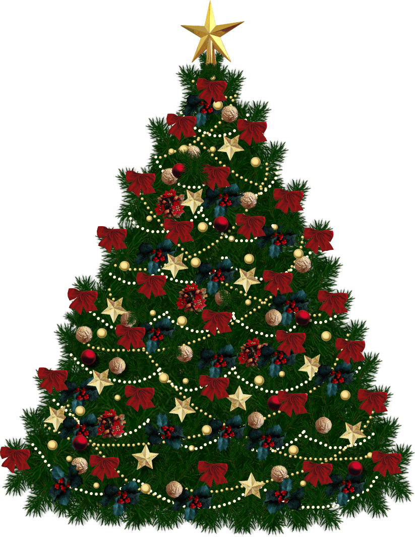 Fir-Tree Png Image Transparent PNG Image