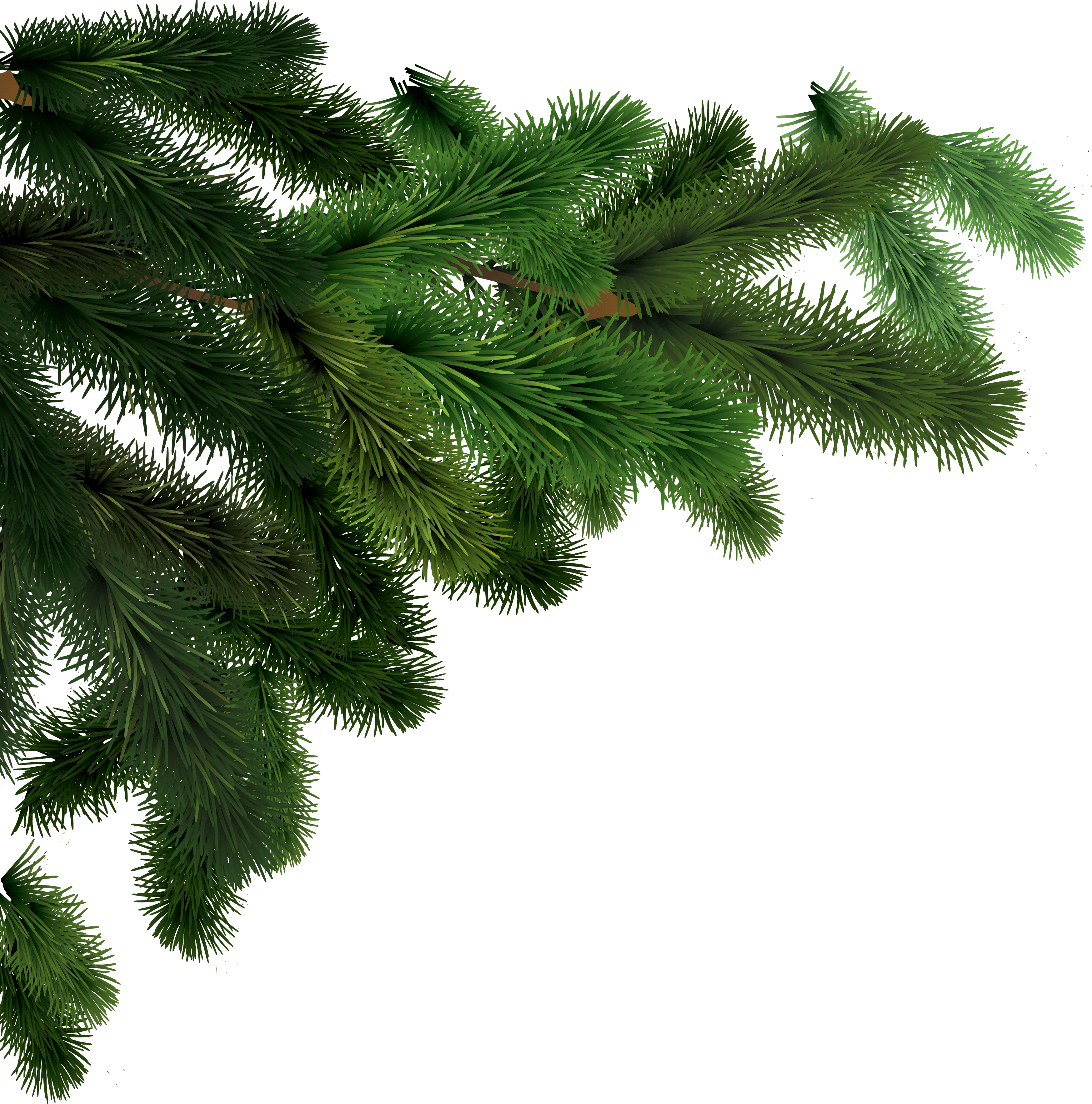 Fir-Tree Png Image Transparent PNG Image