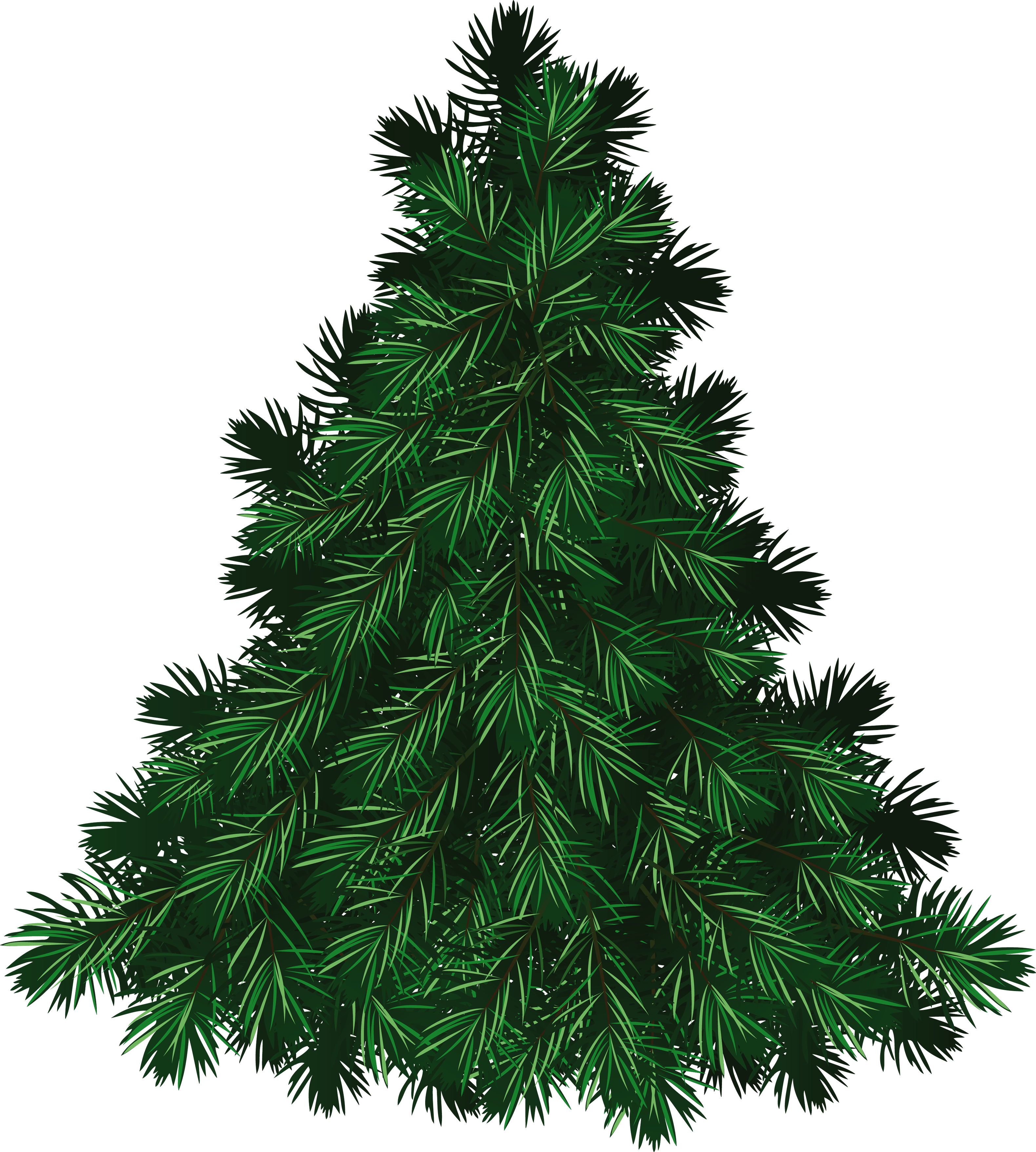 Green Fir-Tree Png Image Transparent PNG Image