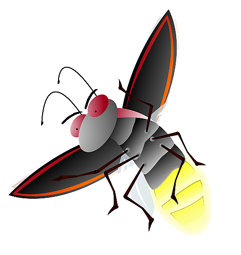 Firefly File Transparent PNG Image