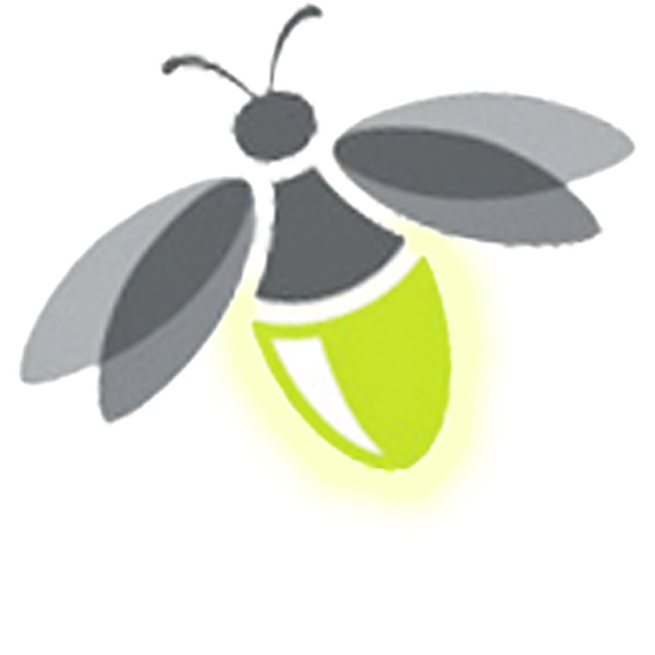 Firefly Transparent Transparent PNG Image